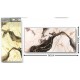 Διακοσμητικό Αυτοκόλλητο Τοίχου Abstract Marble Radials 1τμχ 60x30cm 