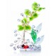 Διακοσμητικό Κρυστάλλινο Λουλούδι Bonsai de Cristal Πράσινο σε κρυστάλλινη βάση 