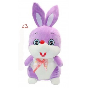 Διακοσμητικό Λούτρινο Rabbit Πολύχρωμο 65cm ForHome 047008