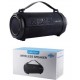 Newtop SP11 Ηχείο Bluetooth 11.5W με Ραδιόφωνο και Διάρκεια Μπαταρίας έως 2 ώρες Μαύρο 