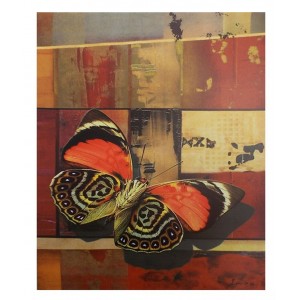 Πίνακας σε Καμβά σχέδιο Πεταλούδα 50x3x60cm
