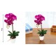Τεχνητό Φυτό Πολύχρωμο σε γλάστρα 48cm ForHome 921531