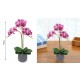 Τεχνητό Φυτό Πολύχρωμο σε γλάστρα 57cm ForHome 921528