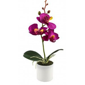 Τεχνητό Φυτό Πολύχρωμο σε γλάστρα 9x28cm ForHome 921662