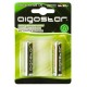 Επαναφορτιζόμενες Μπαταρίες AA 1600mAH 1.2V 2 τεμάχια Aigostar 18568