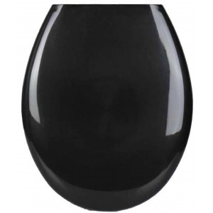 Bathlux 50131 Καπάκι Λεκάνης 45.6x37.2cm Μαύρο