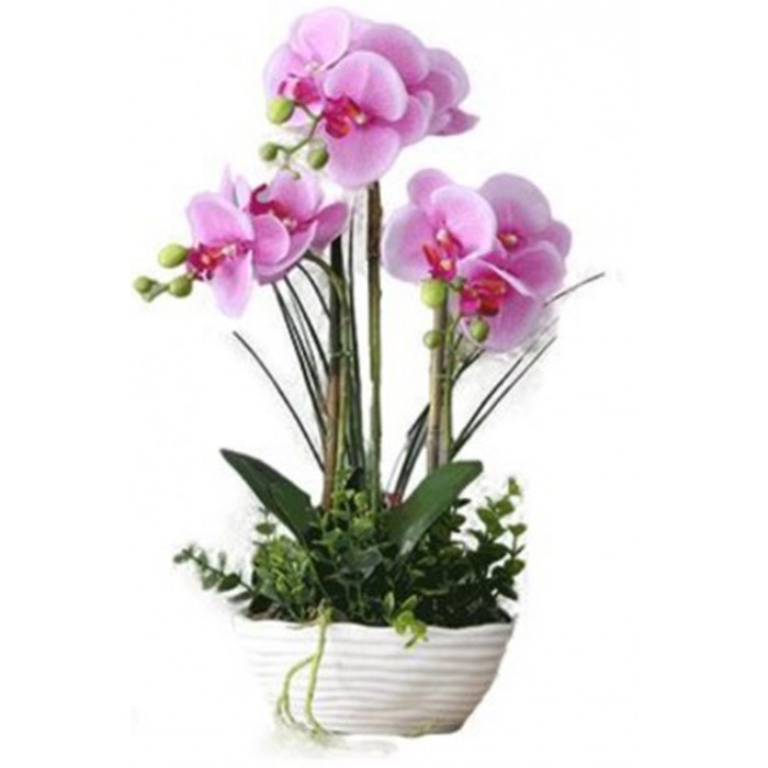 ForHome 921497 Τεχνητό Φυτό Μωβ Ορχιδέα σε γλάστρα 25x45cm