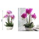 ForHome 921497 Τεχνητό Φυτό Μωβ Ορχιδέα σε γλάστρα 25x45cm