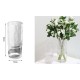 ForHome 921696 Βάζο Γυάλινο 10x22cm Loukas