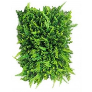 ForHome 922463 Συνθετικό Πάνελ Φυλλωσιάς 40x60cm