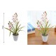 ForHome 921515 Τεχνητό Φυτό σε Γλάστρα 10x59cm
