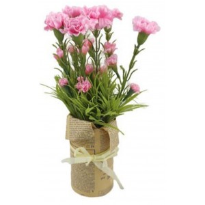ForHome 921506 Τεχνητό Φυτό σε γλάστρα 8.5x31cm