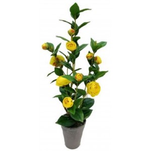 ForHome 921507 Τεχνητό Φυτό σε γλάστρα 9x59.5cm