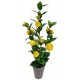 ForHome 921507 Τεχνητό Φυτό σε γλάστρα 9x59.5cm