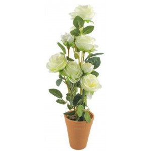 ForHome 921508 Τεχνητό Φυτό σε γλάστρα 9.5x55.5cm
