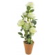 ForHome 921508 Τεχνητό Φυτό σε γλάστρα 9.5x55.5cm