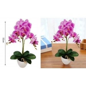 ForHome 921501 Τεχνητό Φυτό Ορχιδέα σε γλάστρα 11x52cm