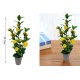 ForHome 921507 Τεχνητό Φυτό σε γλάστρα 9x59.5cm