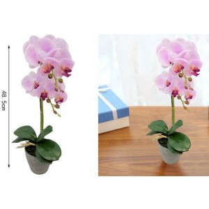 ForHome 921500 Τεχνητό Φυτό Ορχιδέα σε γλάστρα 10.8x48.5cm