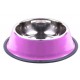 Nunbell Pet 33943 Ανοξείδωτο Μπολ Φαγητού για Σκύλο 34cm 