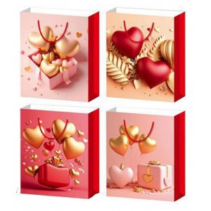 Σετ Χάρτινες Σακούλες Δώρου 23x18x10cm Πολύχρωμες 12 τεμαχίων ForHome 923665