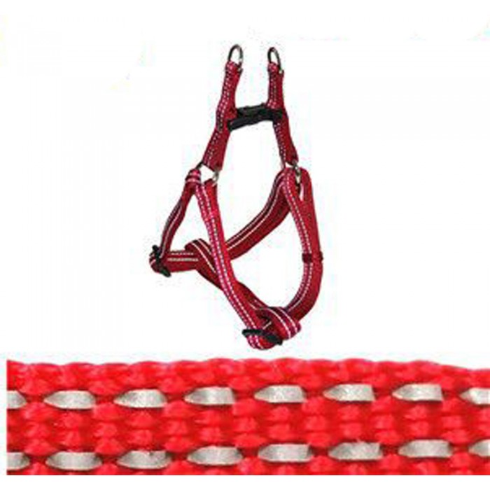 Σαμαράκι Σκύλων πολύχρωμο 25mm x 70/90cm ForHome 802671