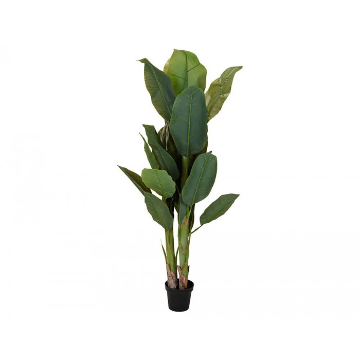 Tεχνητό φυτό σε γλάστρα (318000690) Μπανανιά - 165cm