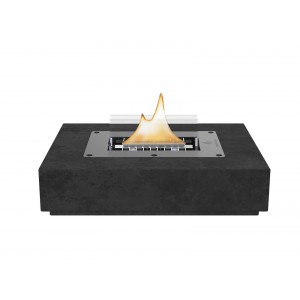  Daisy Black Tender Netherland Tf-600023