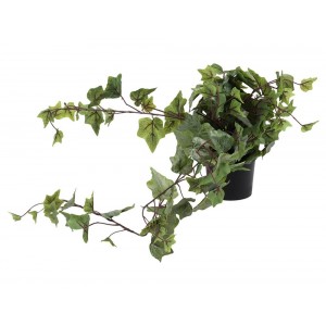  Hang Plant In Pp Pot 80Cm 317221280
