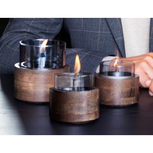 Lotus 12 Mocha Tender Netherland Tf-600334