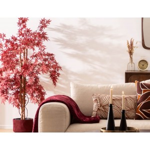  Red Maple Tree James H150 Atmosphera 204278